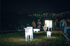 Milk Bottle Cows